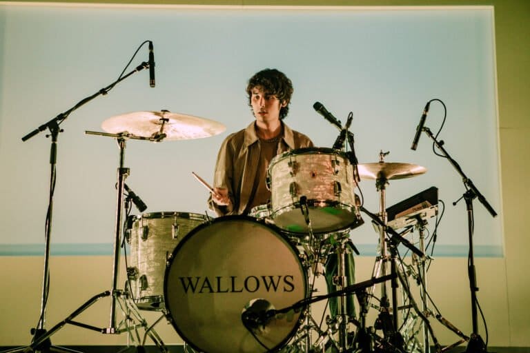 Wallows