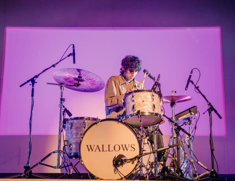 Wallows