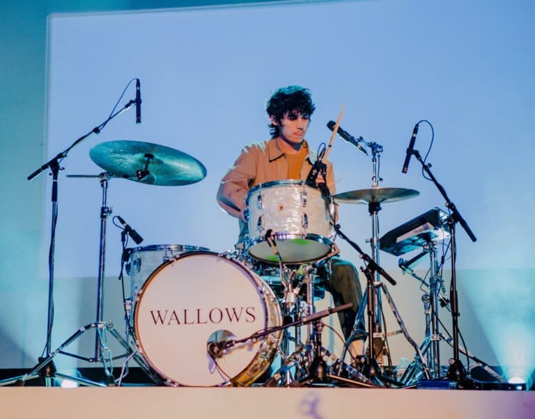 Wallows