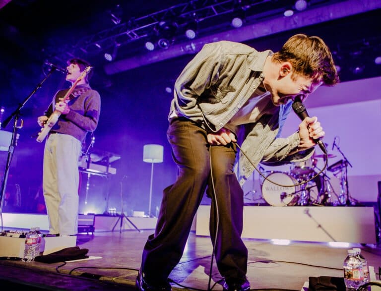 Wallows