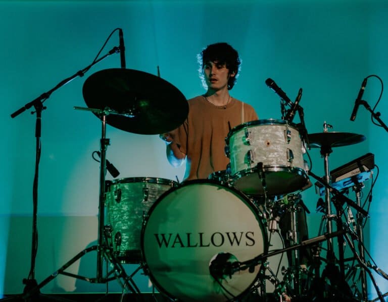 Wallows
