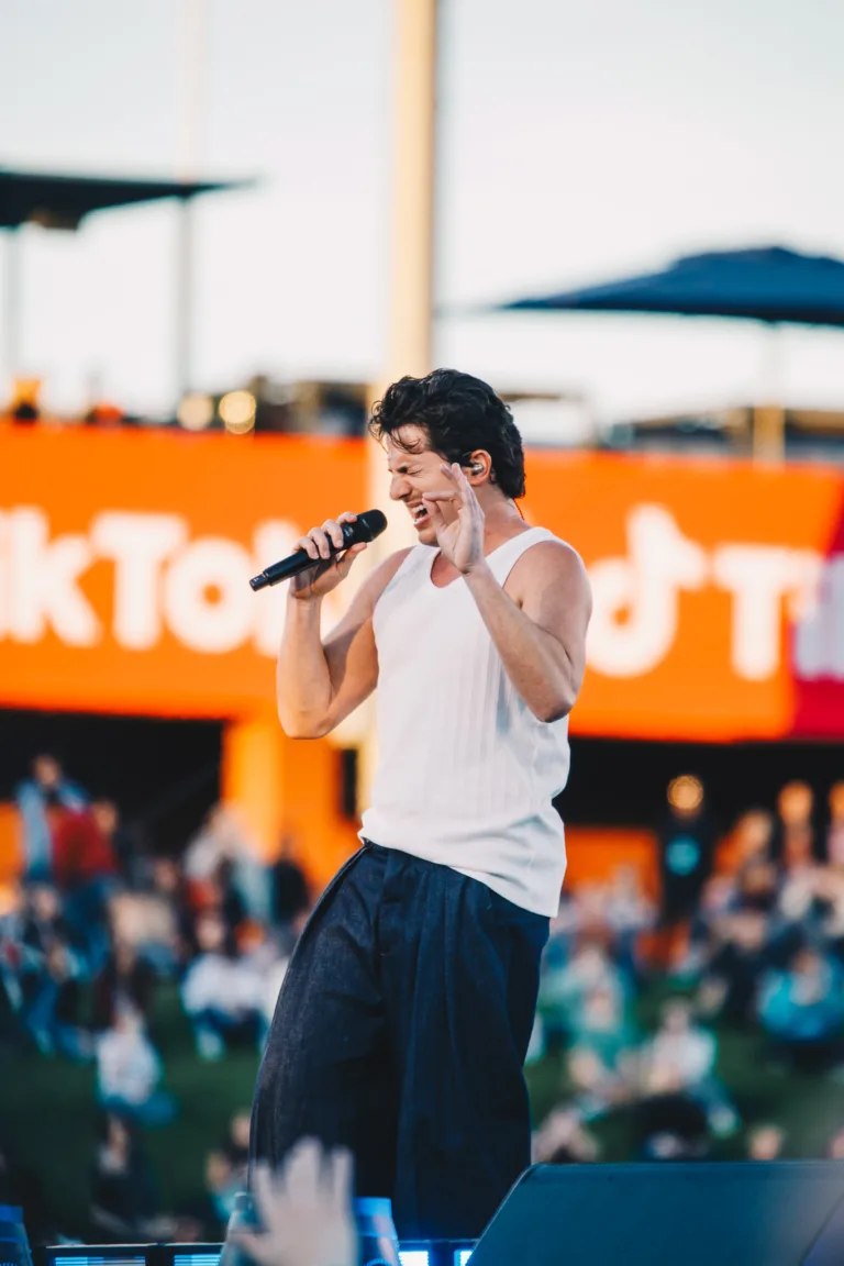 TikTok in the Mix